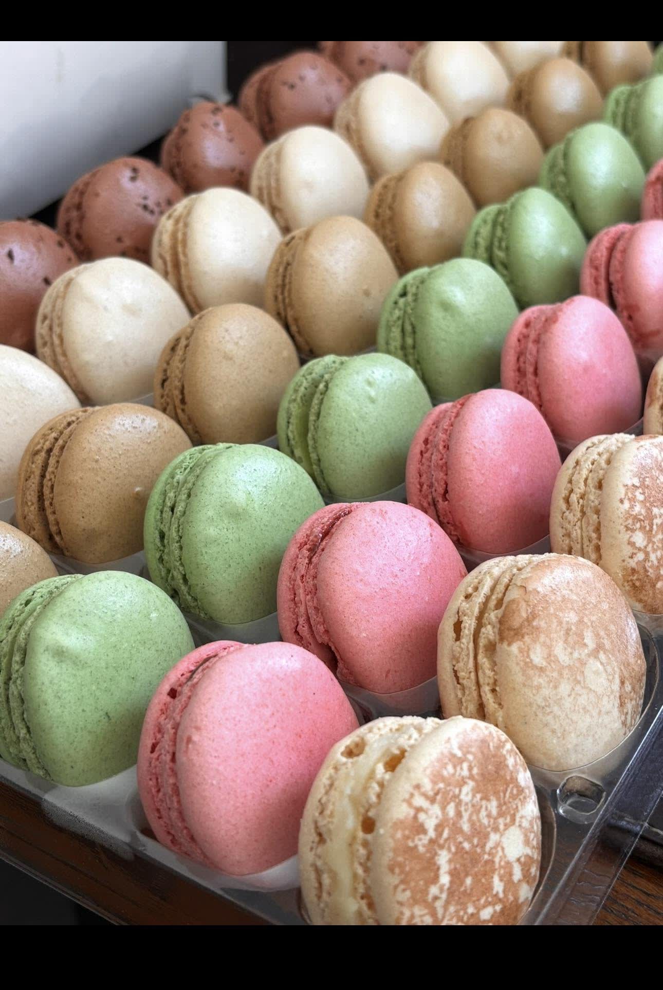 Tray of assorted macarons in pistachio, raspberry, chocolate and vanilla